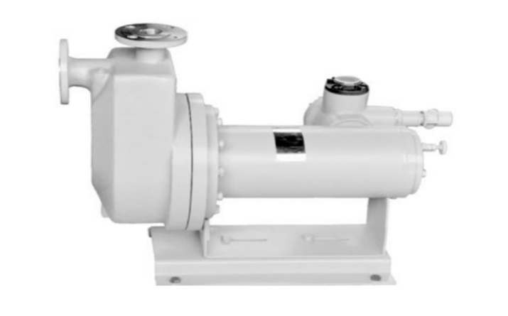 self-priming-sealless-canned-motor-pump